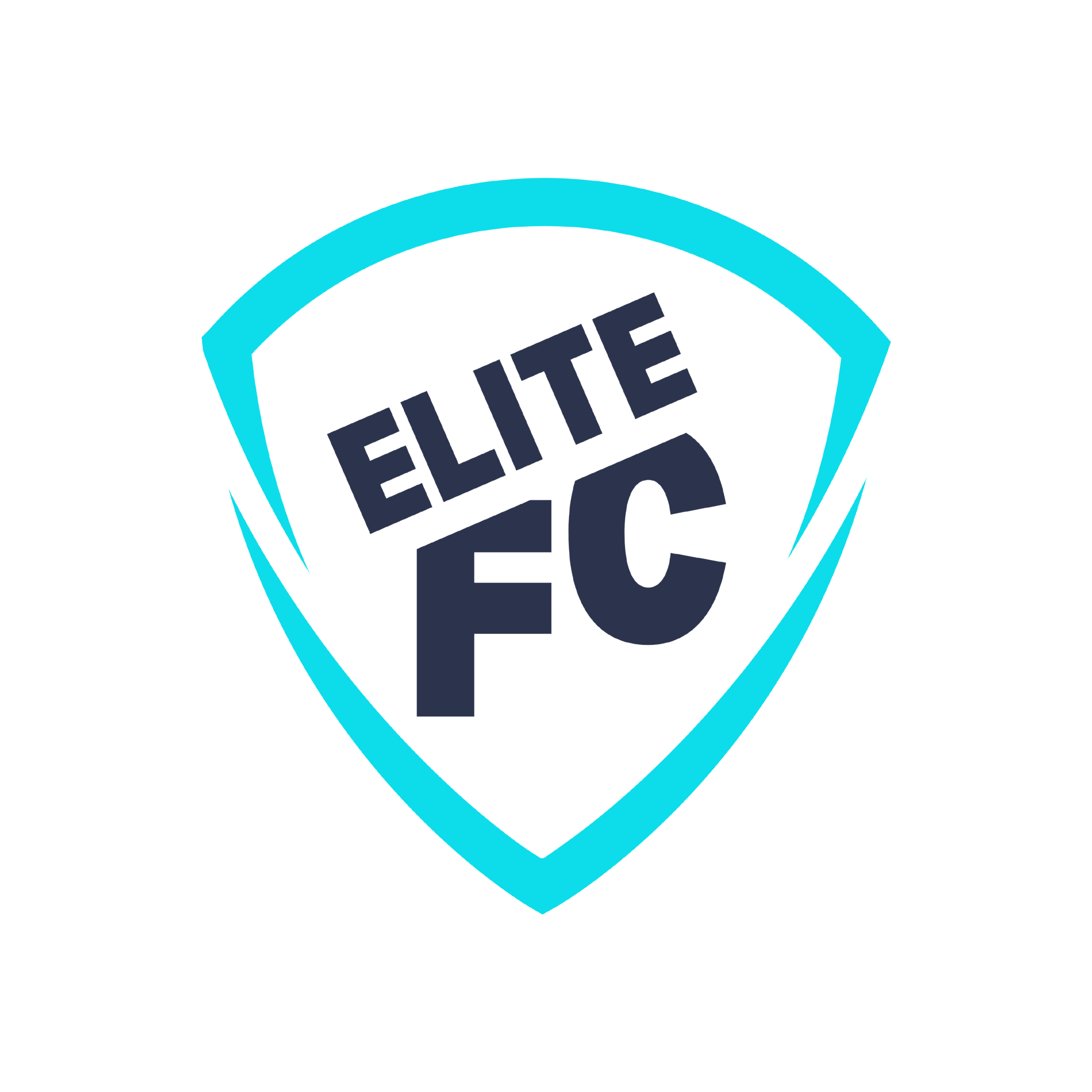 Elite Football Coaching
